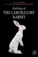 Download Book Pathology of the Laboratory Rabbit - E-Book - PDF