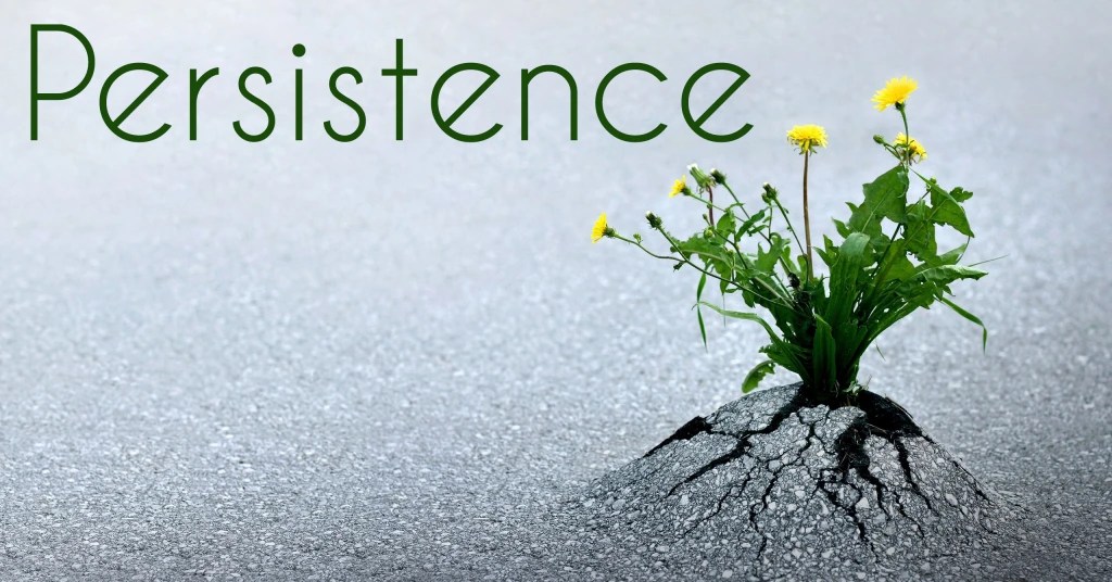 What is persistent meaning in hindi