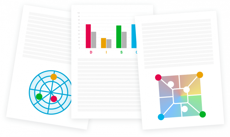 Includes a 45 minute coaching . Disc Assessment Institute Success