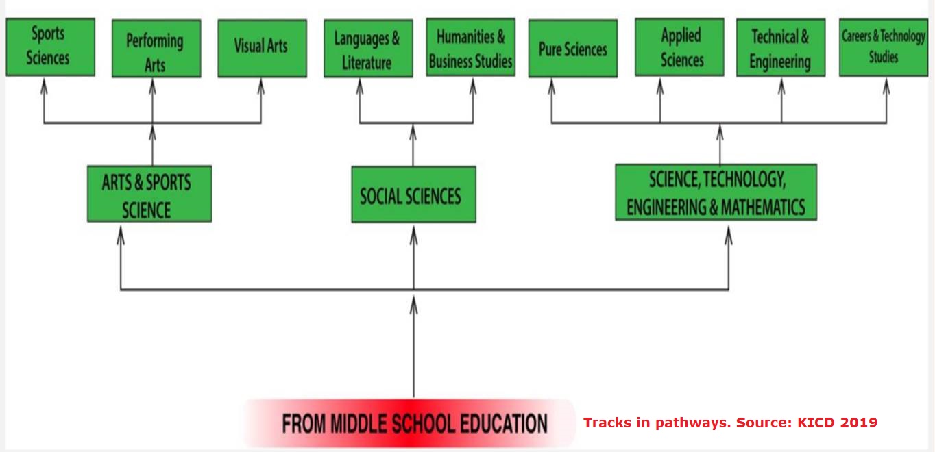 A chart showing the 3 main CBC pathways and sub pathways in each area of study