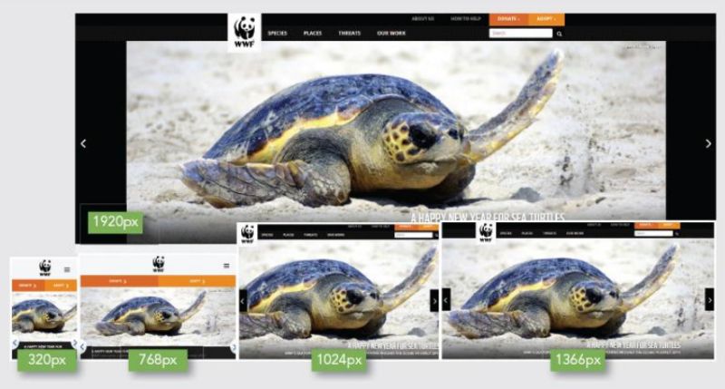 Differences In Responsive And Normal View R Webdev - Full HD Ocean Illustrations for Desktop