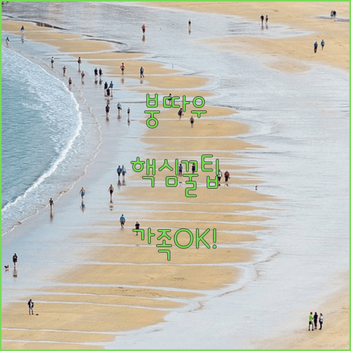 붕따우 해변 호텔 비교 분석, 배낭여행객과 가족 여행 모두 만족하는 선택법