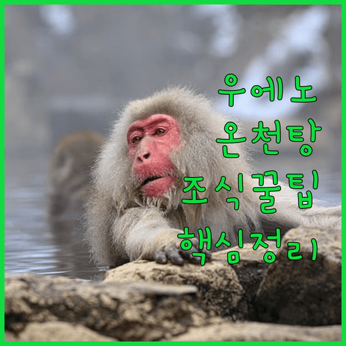 우에노역 앞 호텔 추천, 조식 맛집과 온천 스타일 대중탕까지 한눈에