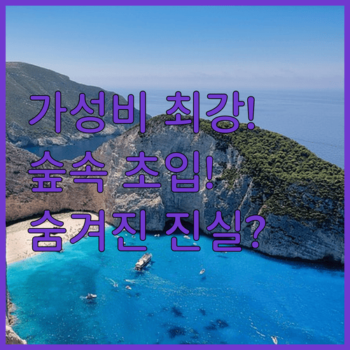 가성비 최강부터 삼림공원 초입까지 시터우 호텔 3곳의 숨겨진 진실