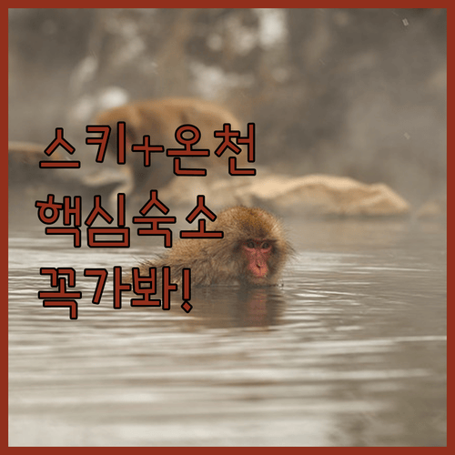 스키와 온천을 동시에 즐기는 에치고유자와, 이 숙소 중 하나는 꼭 가봐야 한다