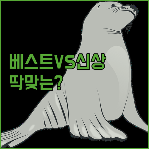 겨울 귀마개 모자 베스트셀러와 신상 중 당신에게 딱 맞는 선택은