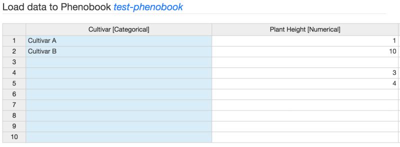 Intabiotechmj Github - Colorful Texture Collection - 4K Quality