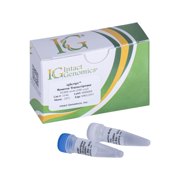 Reverse Transcriptase Igscript Intact Genomics - Premium Gradient Art Gallery - Mobile