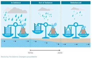 Rebalancing Water System and water treatment solutions