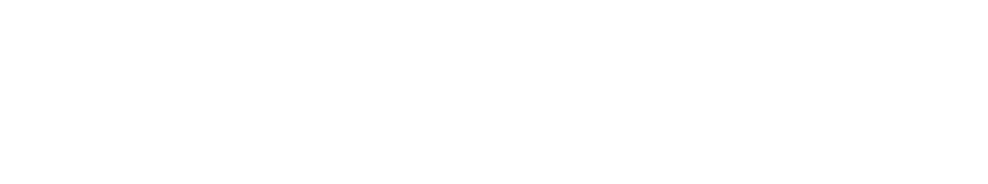 integral zone logo - white