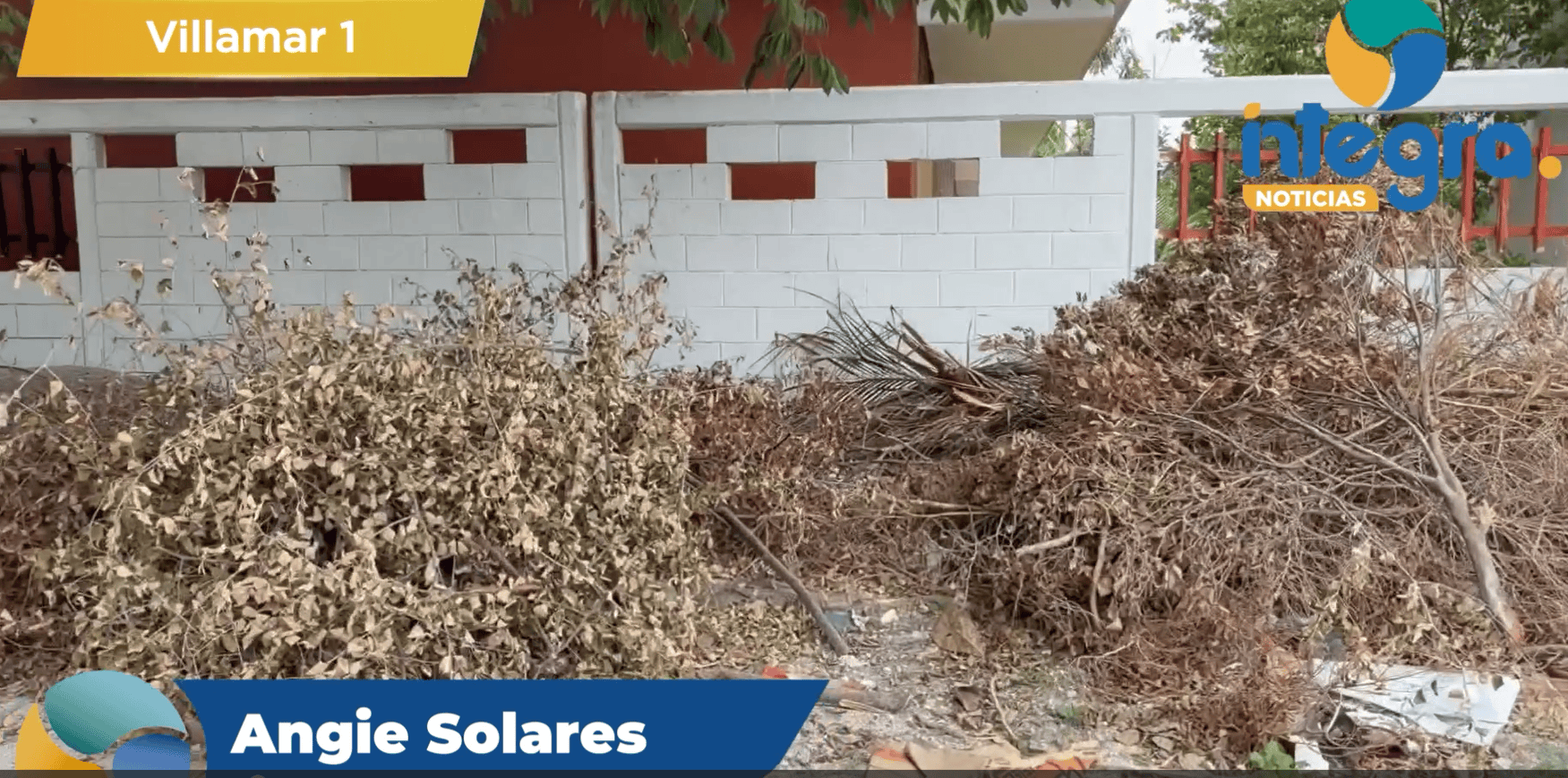Escuelas dejan residuos de poda previo al regreso a clases