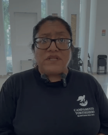 Alertan por maltrato y riesgos para tortugas marinas en Quintana Roo