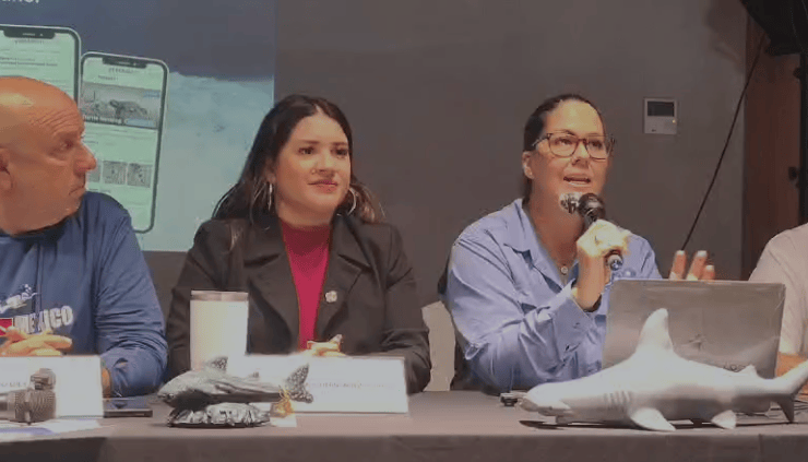 Lanzan MARAP, aplicación gratuita para monitorear fauna marina en el Caribe mexicano