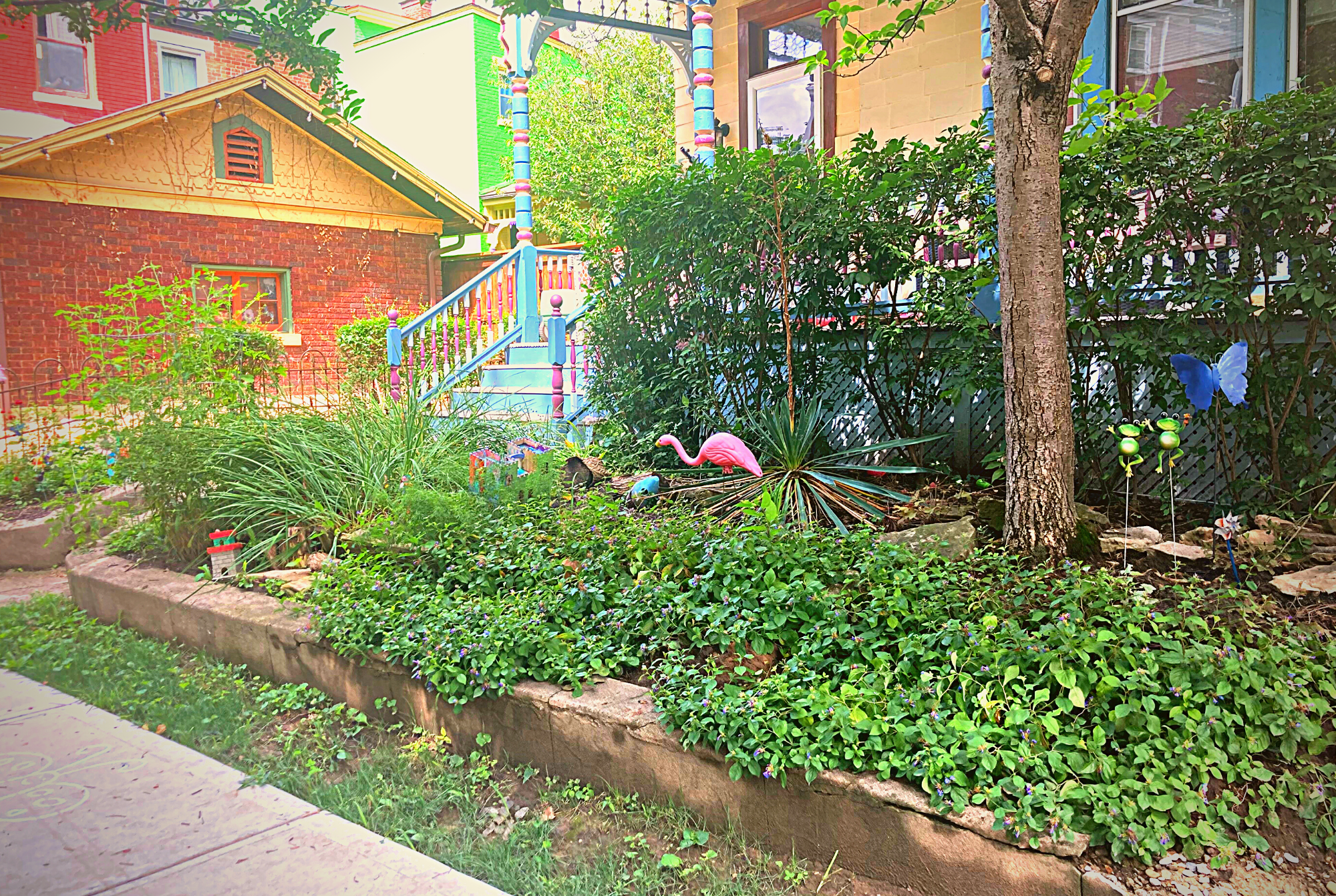 A colorful, if overgrown garden in front of a house