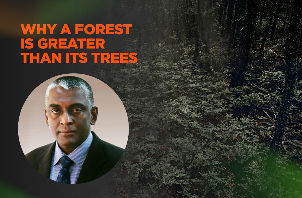 Why a Forest is Greater than its Trees