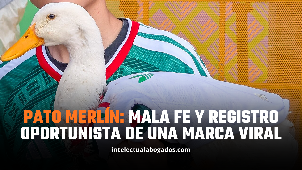 Pato Merlín: mala fe y registro oportunista de una marca viral - Intelectual Abogados