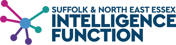 SNEE Intelligence Function Logo accompanied by text reading Suffolk & North East Essex Intelligence Function