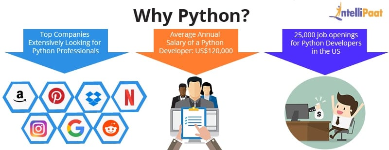 Python Interview Honest Answers%f0%9f%98%82 Python Interview Questions 2025 Intellipaat Shorts Python - Gorgeous Ultra HD Ocean Arts | Free Download