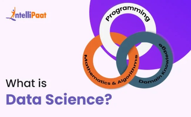 What Are The Data Science Course Fees And Duration In 2025? - Intellipaat