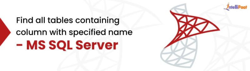 Sql Server Find All Tables Containing Specific Column Name Sql - Download Modern Abstract Design | Mobile