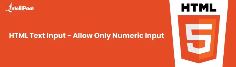 Html Text Input Allow Only Numeric Input - Premium Ocean Pattern Gallery - 4K