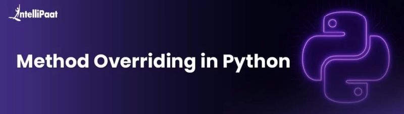 45 Python Essentials Overriding The Print Method In Python Classes - Amazing Gradient Image - 4K