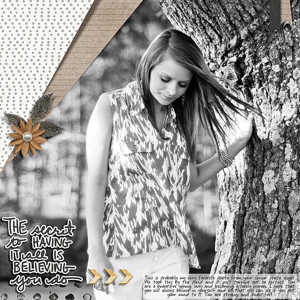 Templates BIG PHOTO - Storyteller January 2017 Add-on by Just Jaimee Storyteller 2017 January by Just Jaimee