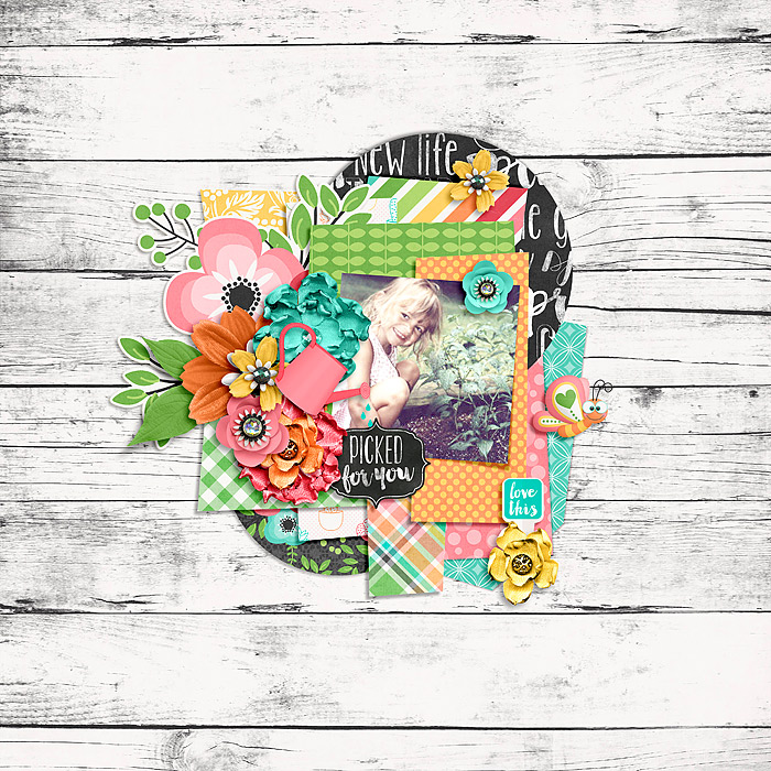 All Year Round: Beautifications by Traci Reed and Jady Day Studio retired template by Zoliofrope