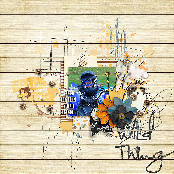 Wild Thing Bundle by Studio Basic and Traci Reed