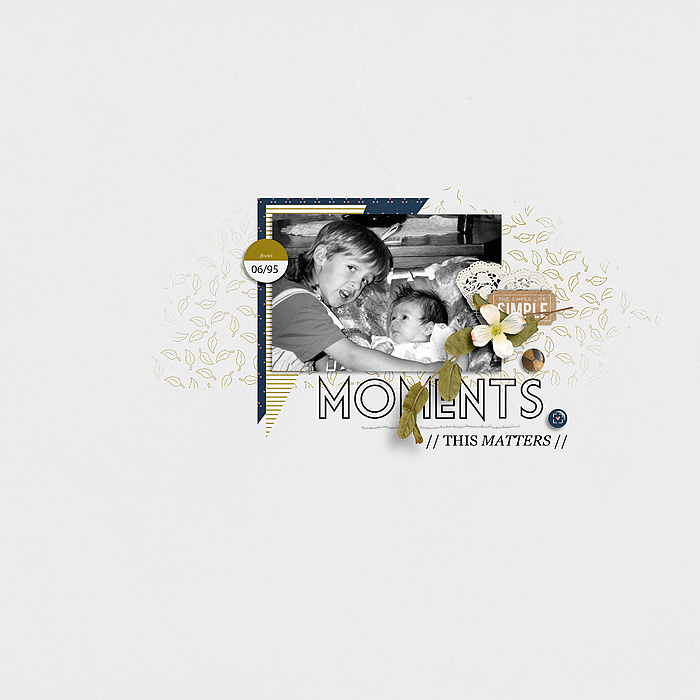 Simplify | Elements by Amber LaBau Simplify | Papers by Amber LaBau Simplify Pocket Cards by Amber LaBau