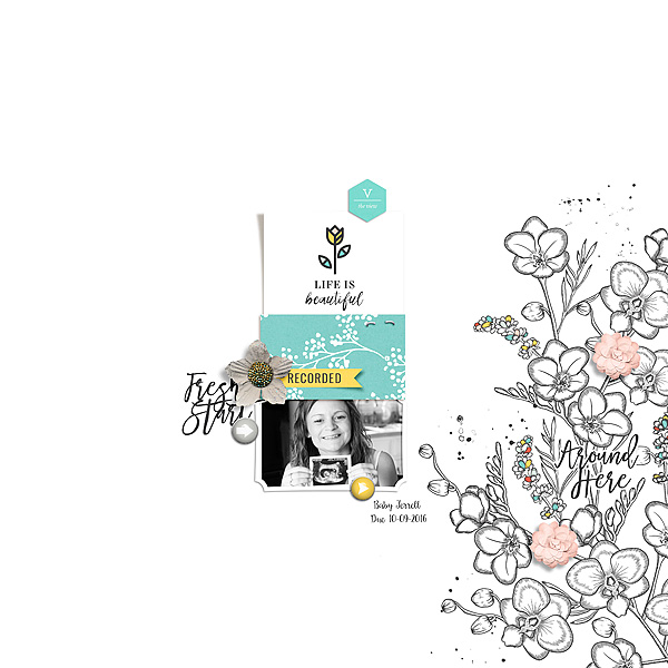 Recorded | Bundle by Sahin Designs Press Plate No. 40 by Paislee Press