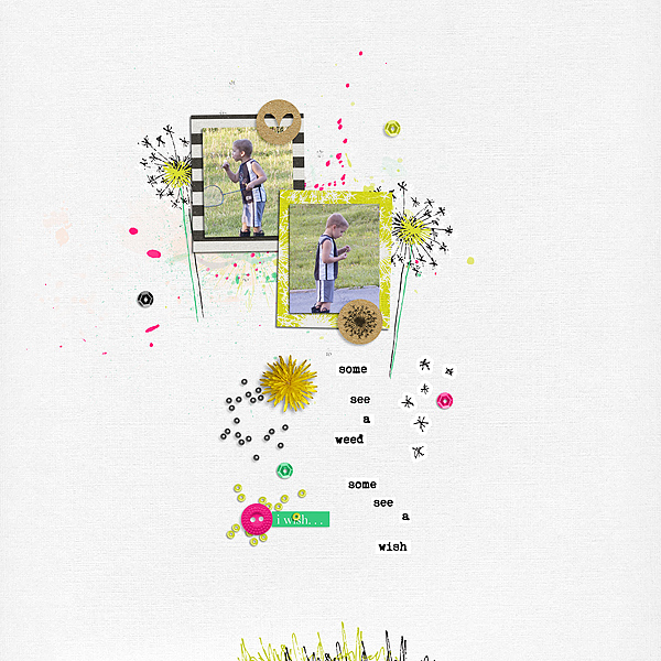 Make A Wish by Valorie Wibbens Sprinkles V36 by Valorie Wibbens Latin Squares Quadratum by Amy Martin