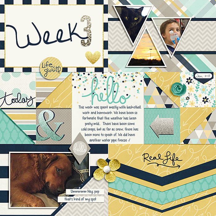 January PL Collection by Traci Reed