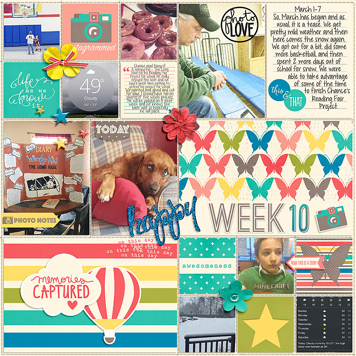 Pocket Life '15: March Collection by Traci Reed 365Unscripted Plastic Stitched Grids Bundle by Traci Reed