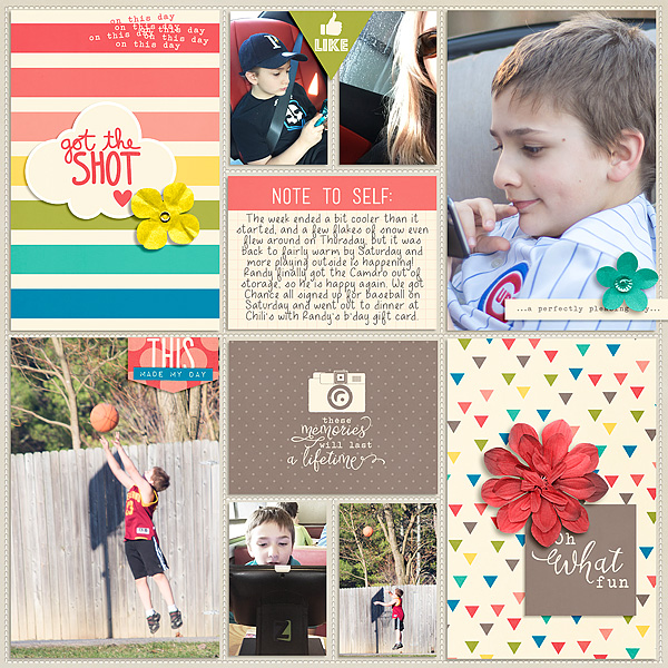 Pocket Life '15: March Collection by Traci Reed Outside the Box v2 by Gennifer Bursett