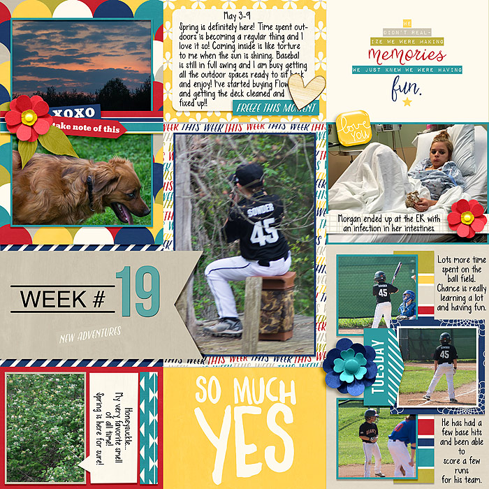 Pocket Life '15: May Collection by Traci Reed