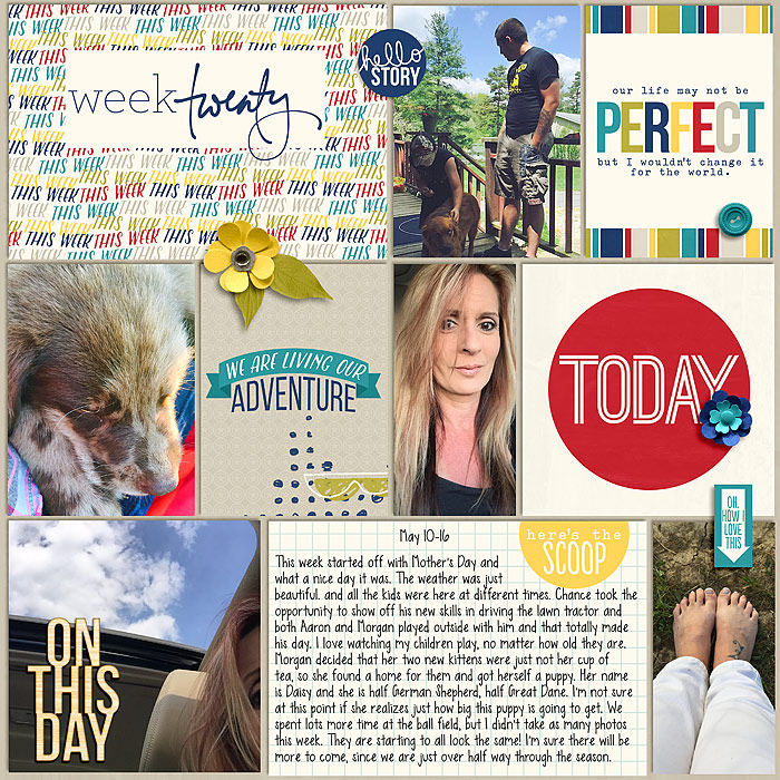 Pocket Life '15: May Collection by Traci Reed