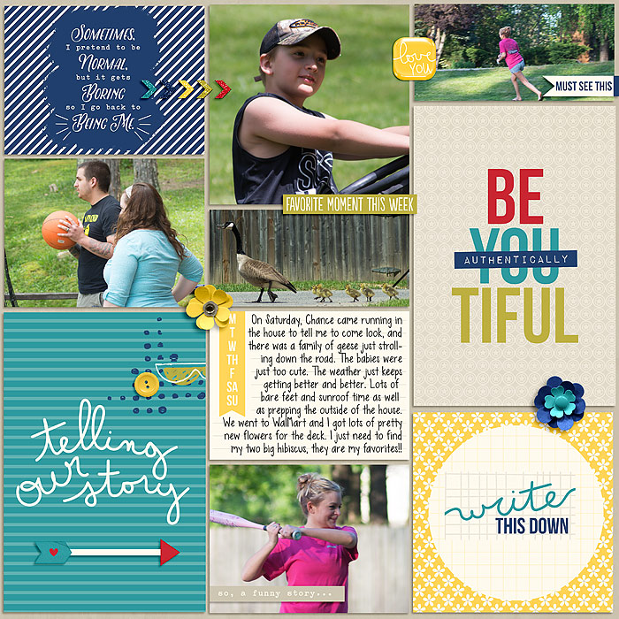 Pocket Life '15: May Collection by Traci Reed