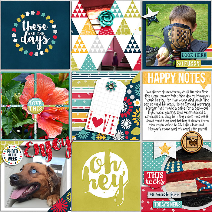 Pocket LIfe '15: July Collection by Traci Reed