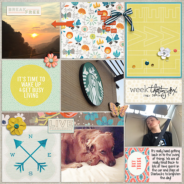 Free Spirit - September Collection by Pixels and Company