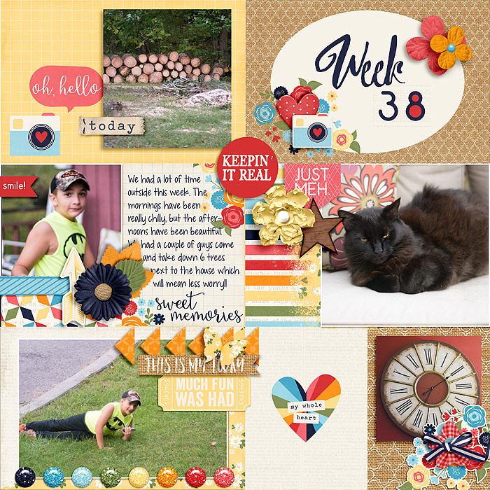 Pocket Life '15 - September Collection by Traci Reed