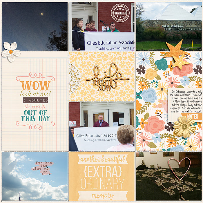 Pocket Life '15 - October Collection by Traci Reed 365Unscripted: Plastic Stitched Grids by Traci Reed