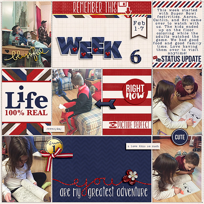 Pocket Life '15: February Collection by Traci Reed 365Unscripted: Plastic Stitched Grids Bundle by Traci Reed