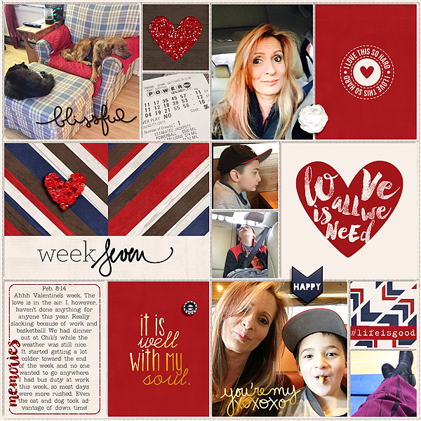 Pocket Life '15: February Collection by Traci Reed 365Unscripted: Plastic Stitched Grids Bundle by Traci Reed Weekly Edition (brushes) by One Little Bird