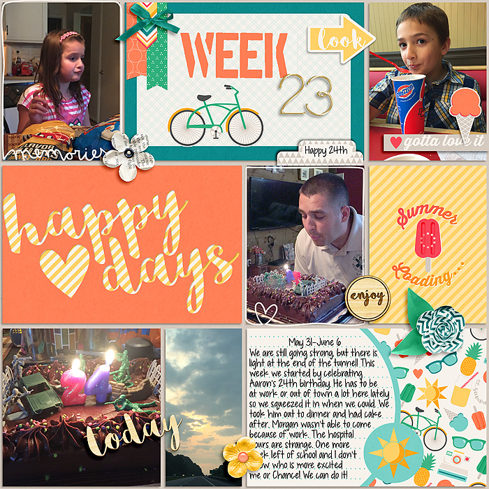 Pocket Life '15: June Collection by Traci Reed