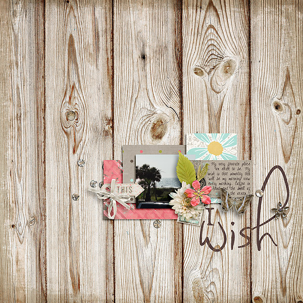 Lifetime Stories Kit and Document Set by Etc. by Danyale