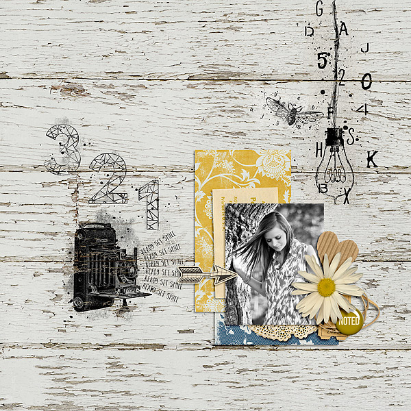 September Wolff Pack Papers, Messy Marvin, and Alpha by Amy Wolff