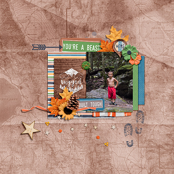 Rugged by Traci Reed Rugged Cards by Traci Reed