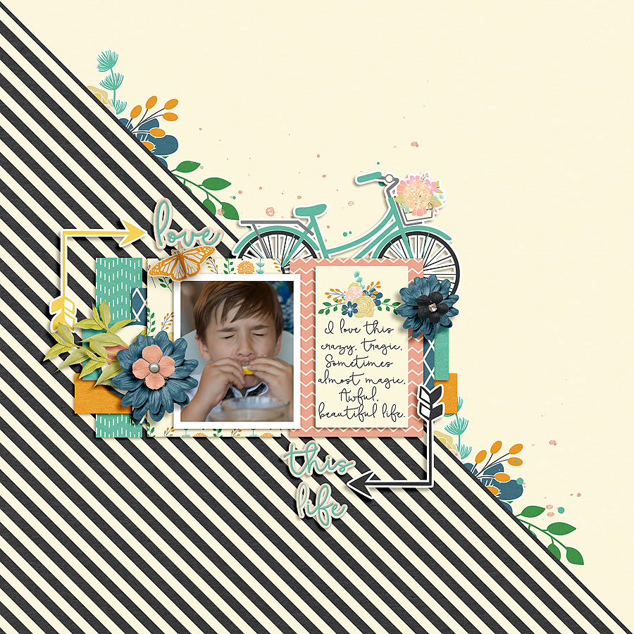 Beautiful Life by River~Rose Quick Scraps vol. 06 by Anita Designs