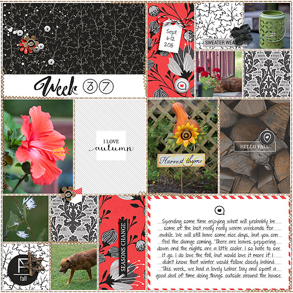 Monochrome Fall by Sahin Designs